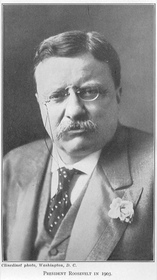 tr.jpg (133721 bytes)