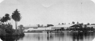 cyc.jpg (17433 bytes)