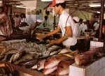 Panam� Fish Market