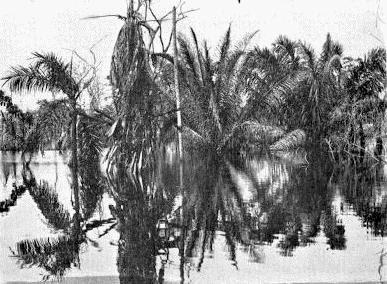 gatlake.jpg (52247 bytes)