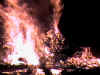 Tree 1 burning.JPG (41374 bytes)