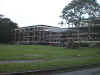 Gulickt.jpg (55364 bytes)