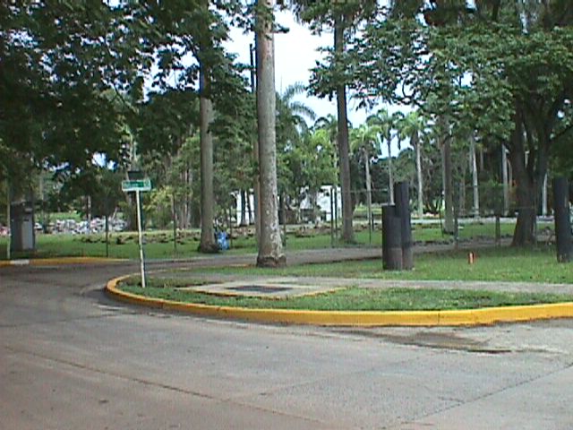 amadorc.jpg (73394 bytes)