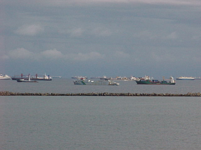 crisbk1.JPG (59463 bytes)