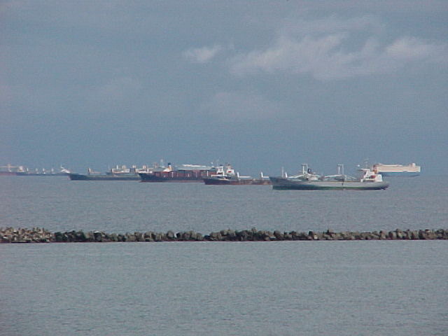 crisbk2.JPG (63414 bytes)