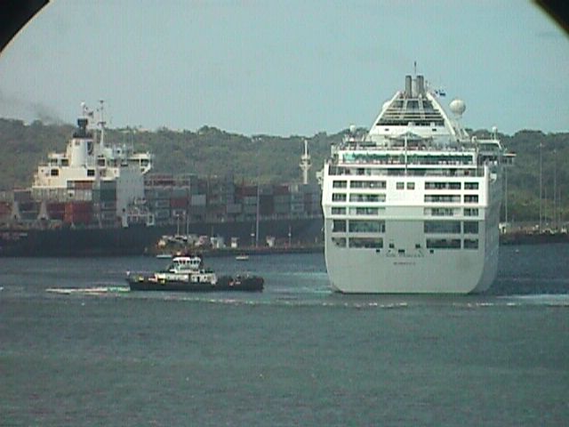 gatuna.jpg (41900 bytes)