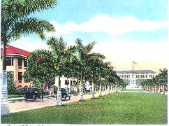 Prado.jpg (20874 bytes)