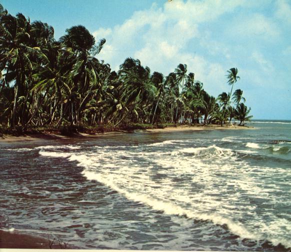 Atcoast.jpeg (66905 bytes)