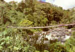 Cerro Punta