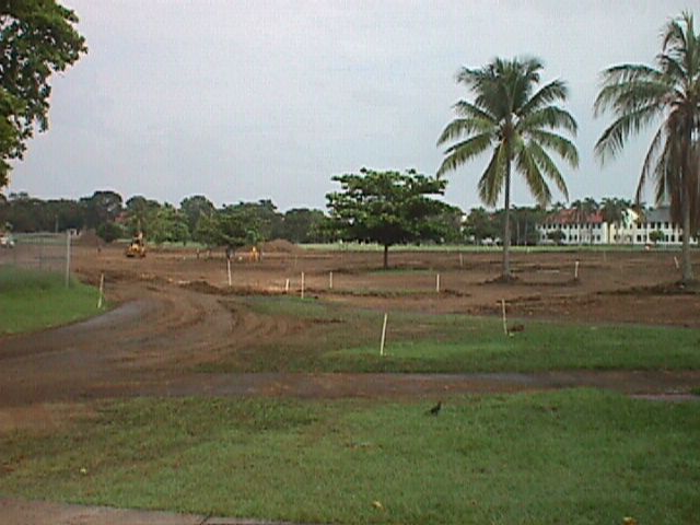 amagolfb.jpg (50662 bytes)