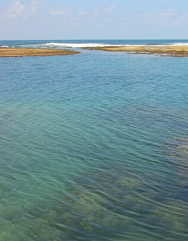 The Clear Waters of the Caribbean