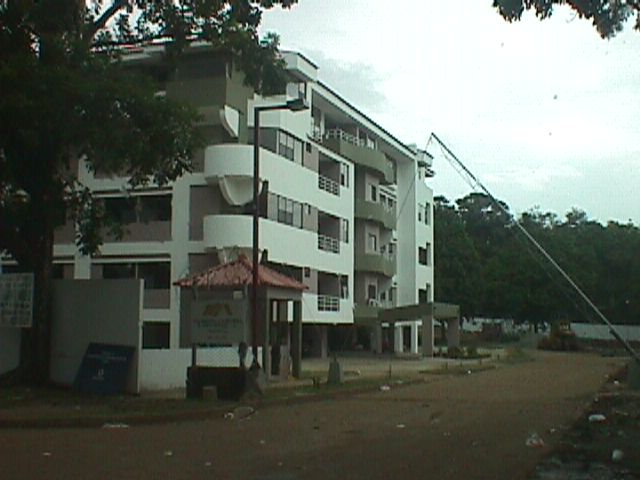 gulick2.jpg (44432 bytes)