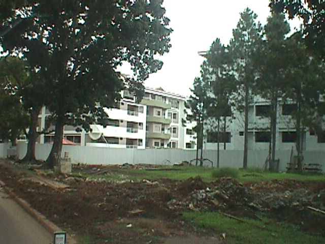 gulicka.jpg (64100 bytes)