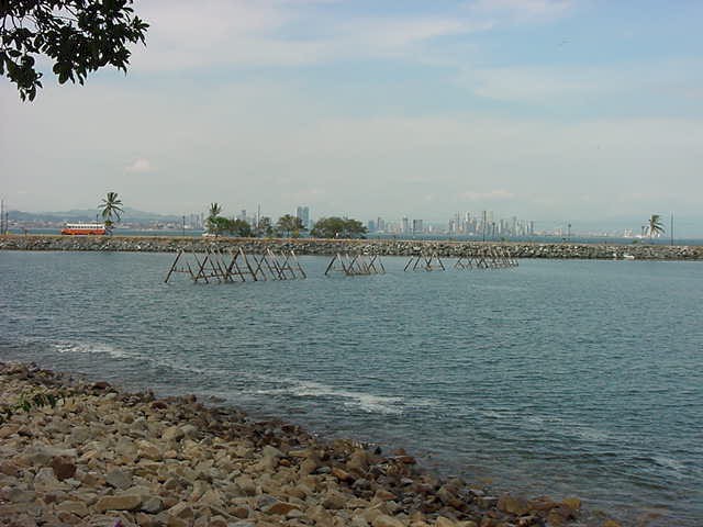 sharknet.jpg (67448 bytes)