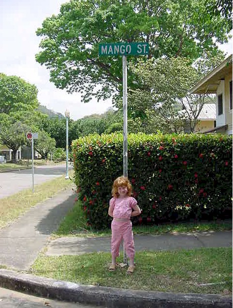 camangostreet2.jpg (143545 bytes)